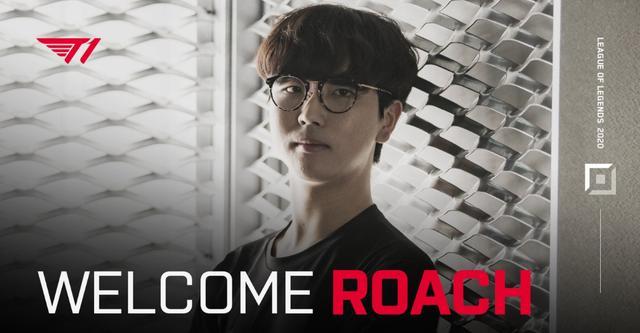 伊布即便已 伊布即便已